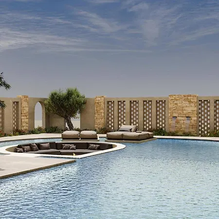 Lavender By 科林比亚